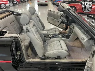 Mustang 21