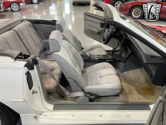 Camaro 19