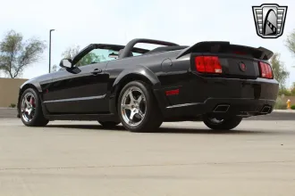 Mustang 13