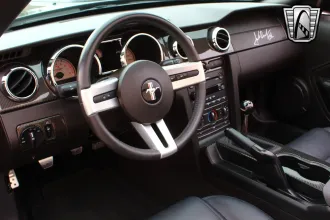 Mustang 19