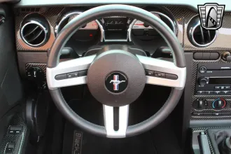 Mustang 21
