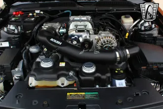 Mustang 23