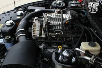 Mustang 25