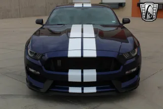 Mustang 5
