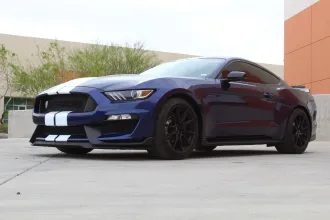 Mustang 8