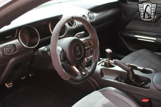 Mustang 13
