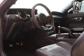 Mustang 14