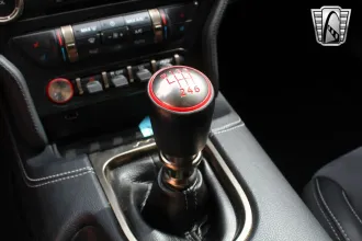 Mustang 15