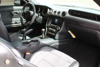 Mustang 17