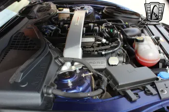 Mustang 20