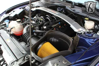 Mustang 21