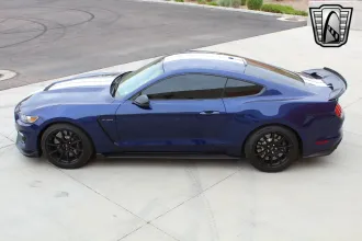 Mustang 26