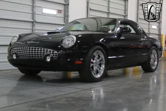 Thunderbird 8