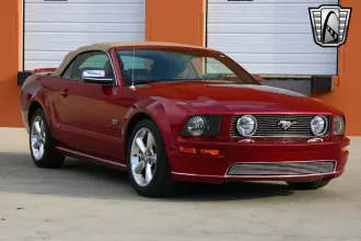 Mustang 7