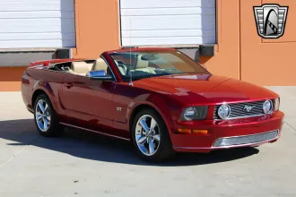 Mustang 11