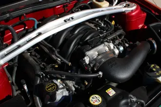 Mustang 17