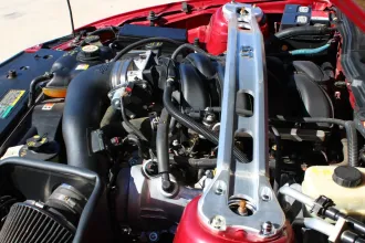 Mustang 19