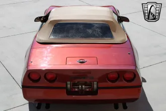 Corvette 7