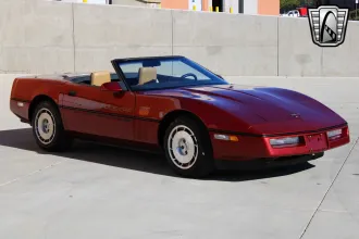 Corvette 19