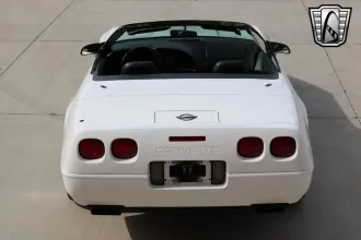 Corvette 11
