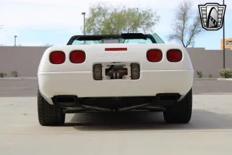 Corvette 19