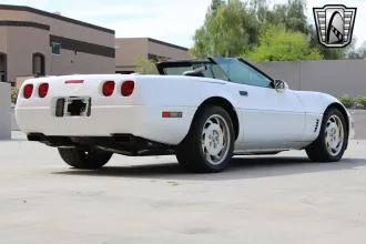 Corvette 20