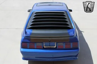 Mustang 10