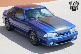 Mustang 12