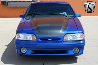 Mustang 13