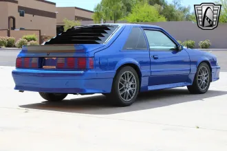 Mustang 19