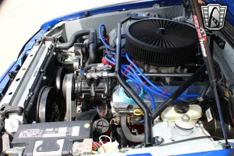 Mustang 26