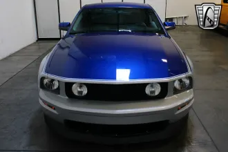 Mustang 7
