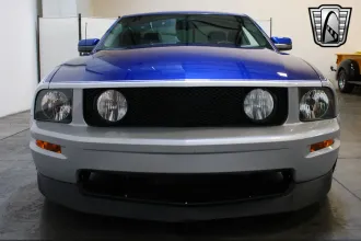 Mustang 8