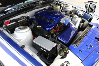 Mustang 14