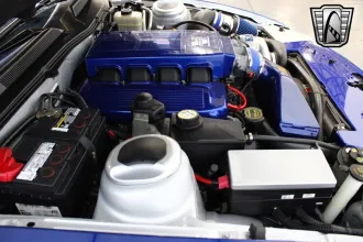 Mustang 15