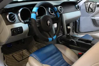 Mustang 18