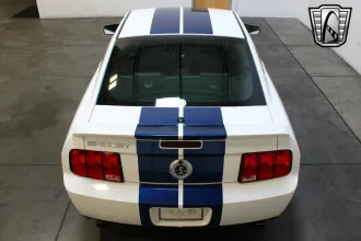 Mustang 12