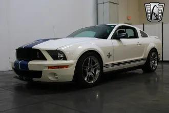Mustang 14