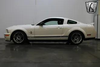 Mustang 15