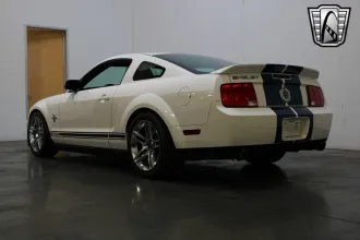 Mustang 16