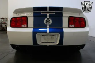 Mustang 17