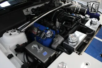 Mustang 19
