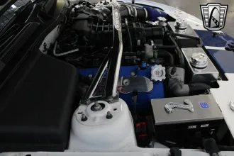 Mustang 20