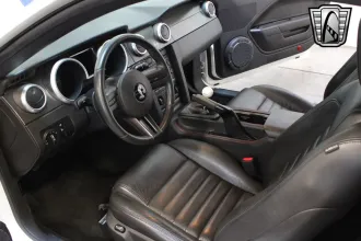 Mustang 24