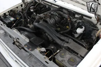 Bronco 19