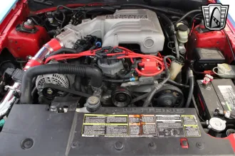Mustang 18