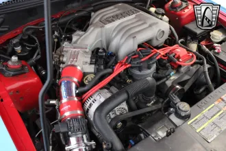 Mustang 19