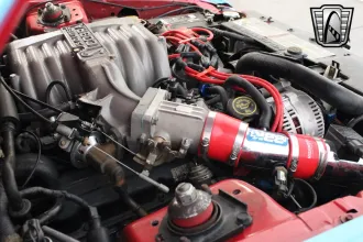 Mustang 21