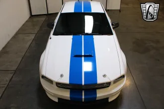 Mustang 7