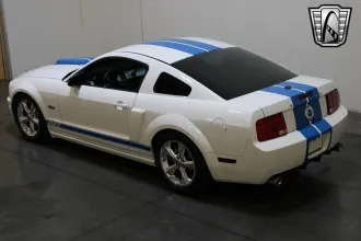Mustang 10